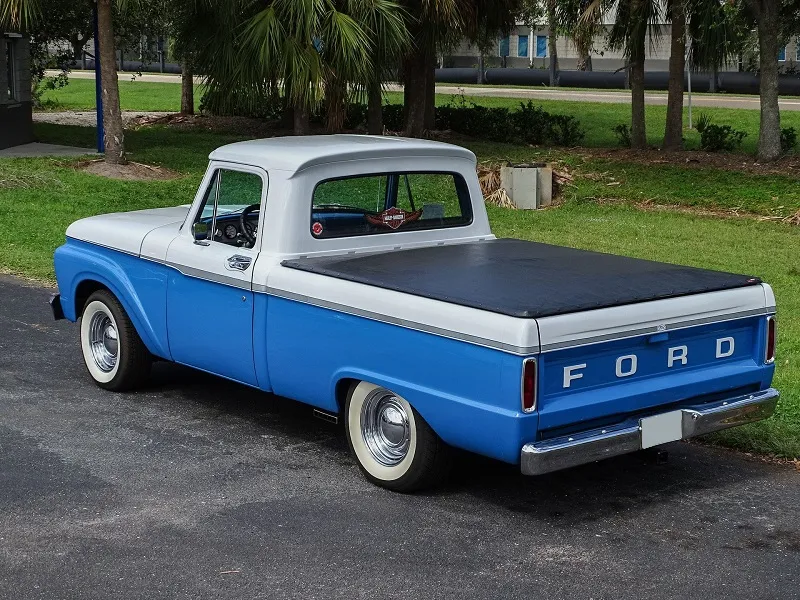 Ford F100