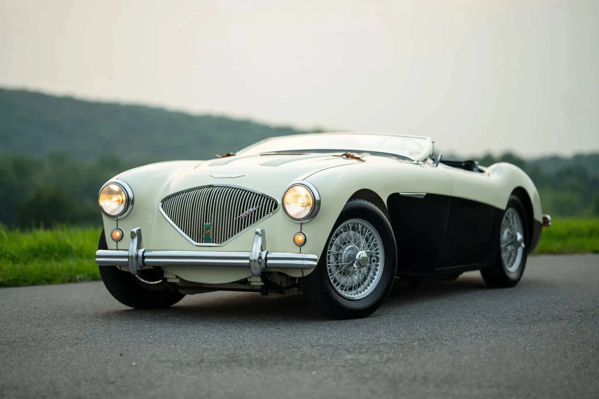 Austin-Healey 100