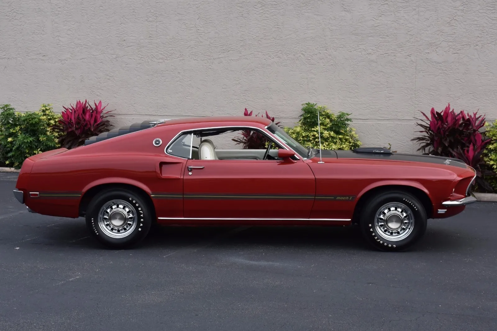 Ford Mustang Mach 1