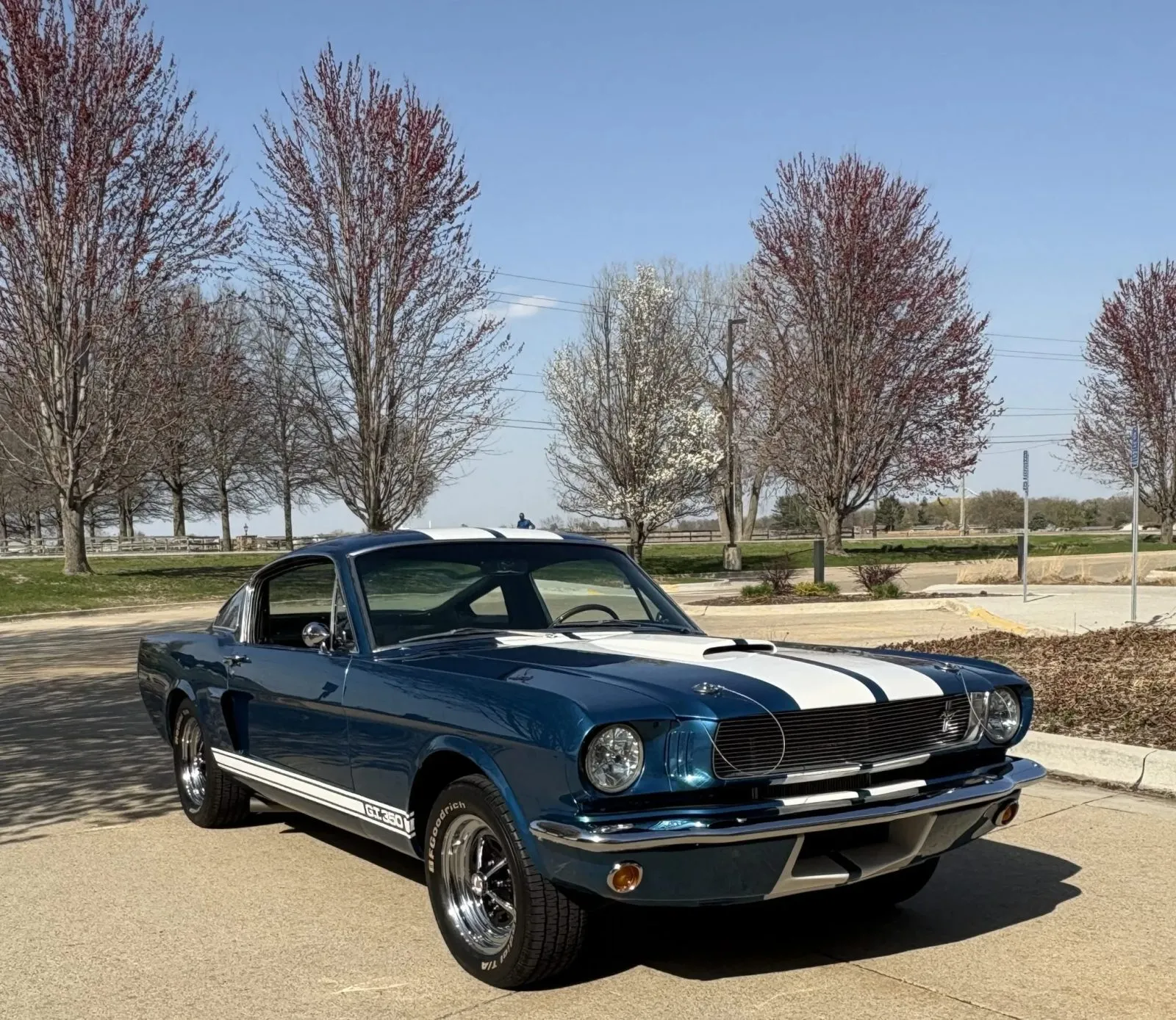 Ford Mustang Shelby GT350