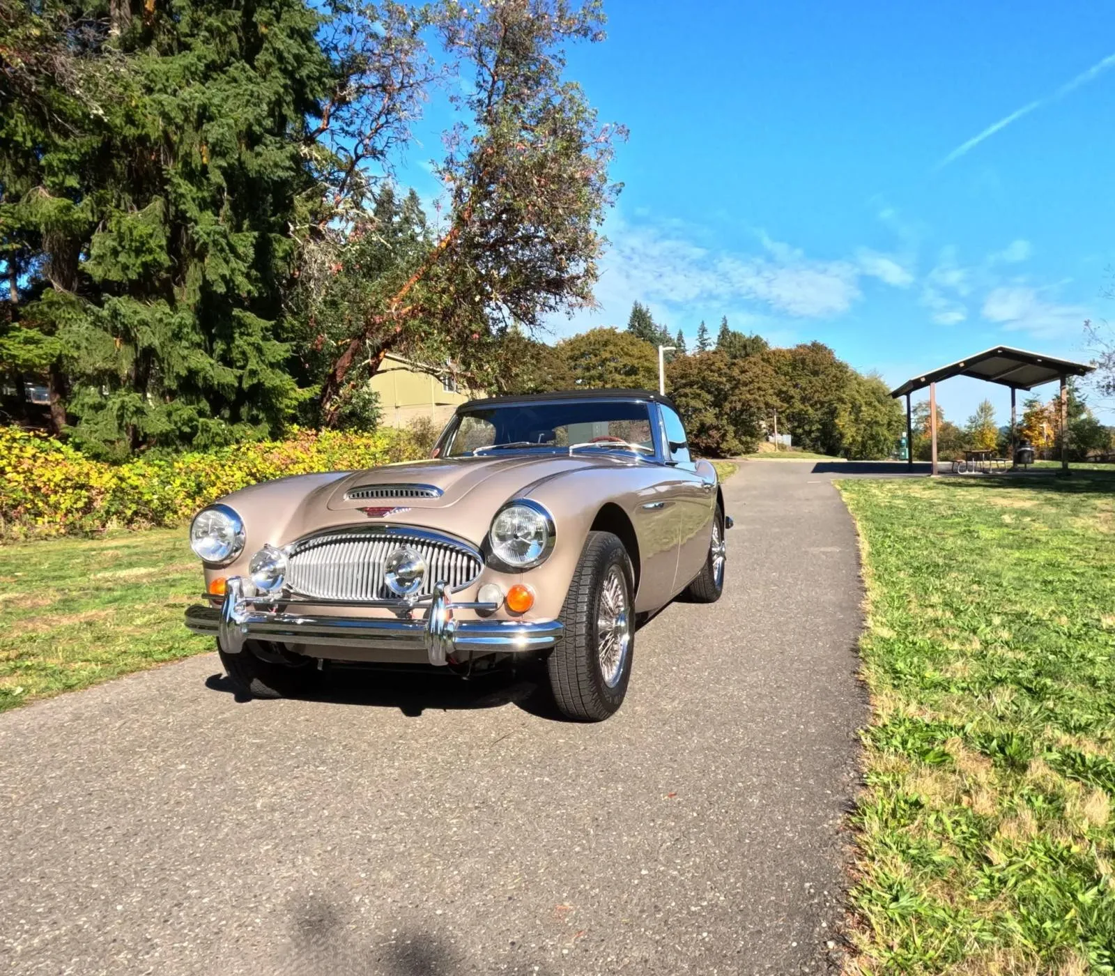 Austin-Healey 3000 Mark III