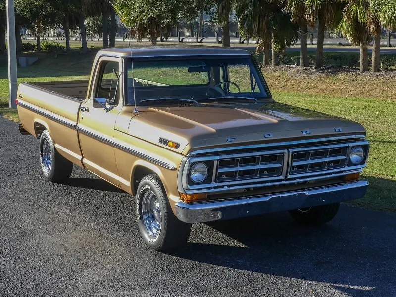 Ford F100